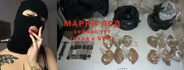 apvp Иннополис