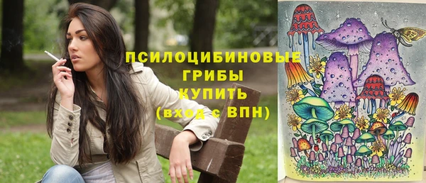 МДПВ Абаза