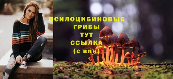 МДПВ Абаза