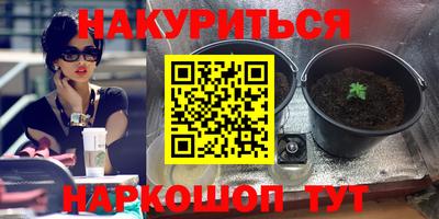 эйфоретик Гусь-Хрустальный