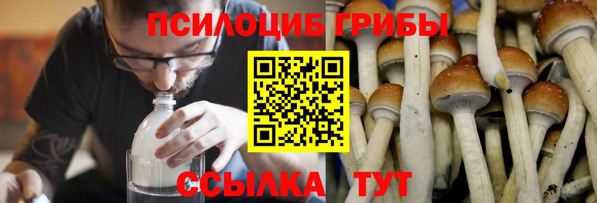 Галлюциногенные грибы ЛСД Костомукша